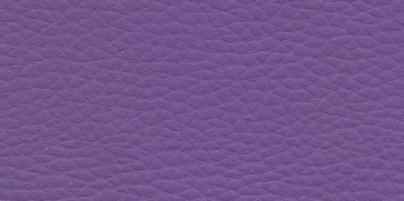 13 - fialová